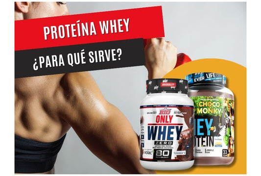 Whey Protein para qué sirve